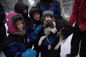 Los paseos en trineo tirado por huskies son experiencias inolvidables