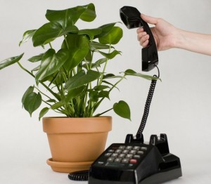 Botanicalls Kit