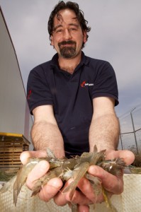 Manuel Poulain, biológo marino Gamba Natural