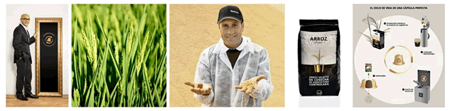 arroz640
