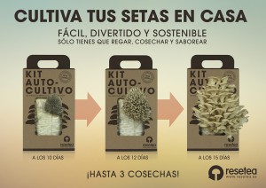Cartel Kit Autocultivo V2