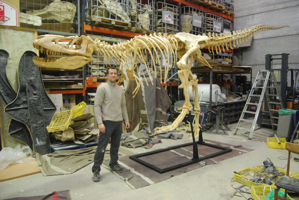 Tarbosaurus