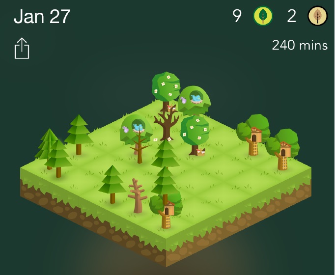 forest_4-1