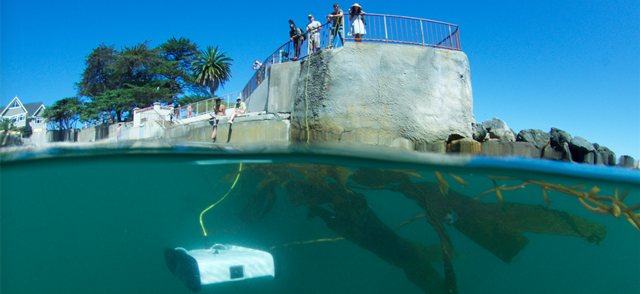 un robot submarino de bajo