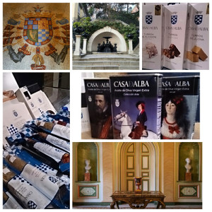 casa alba 2