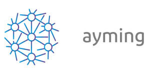Ayming P2