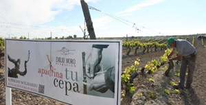 cepa