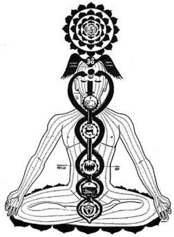 kundalini_caduceo