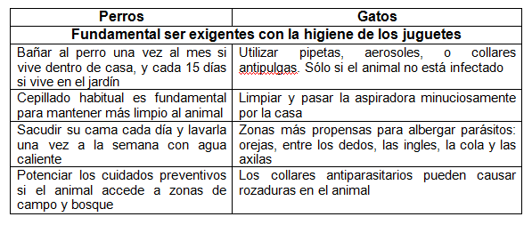 perros_gatos