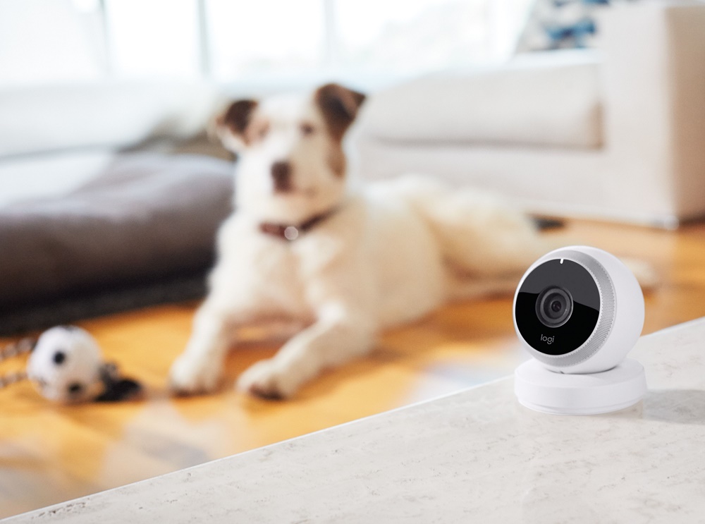 Circle-logitech-perro
