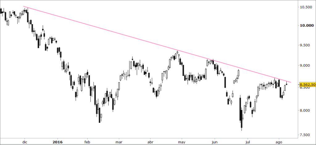 ibex