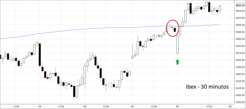 ibex30