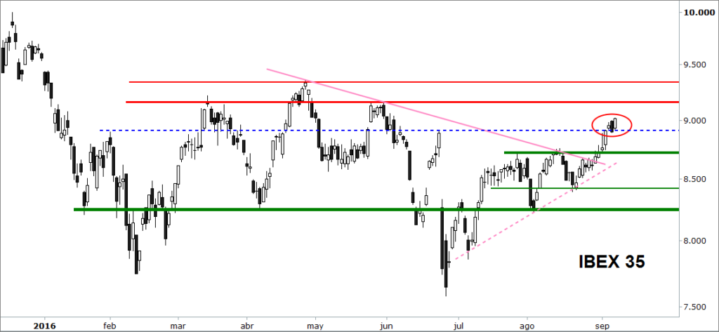 Ibex