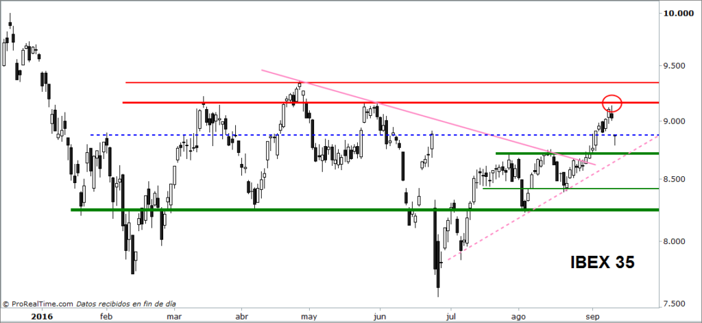 ibex