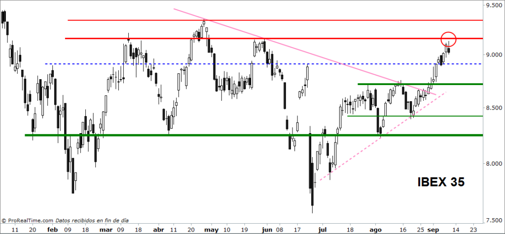 ibex