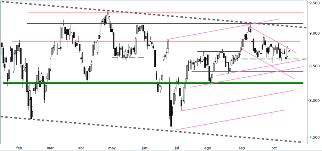 ibex
