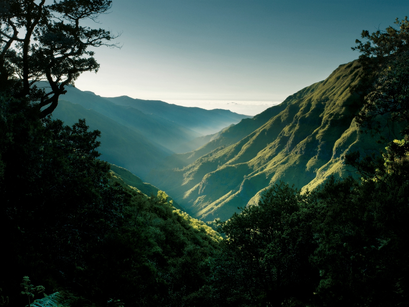 Paisajes de Madeira