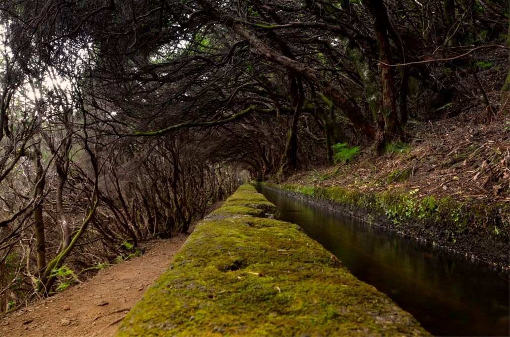 Levada do Risco