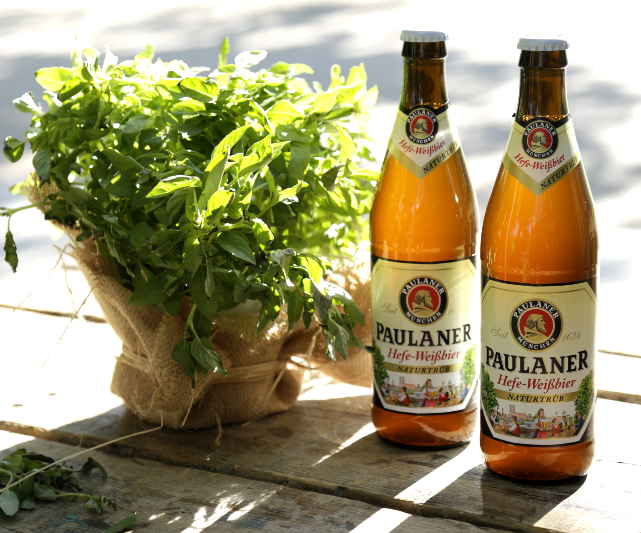 Paulaner abre su primer jardín de la cerveza en Madrid Río |  DiarioAbiertoDiarioAbierto