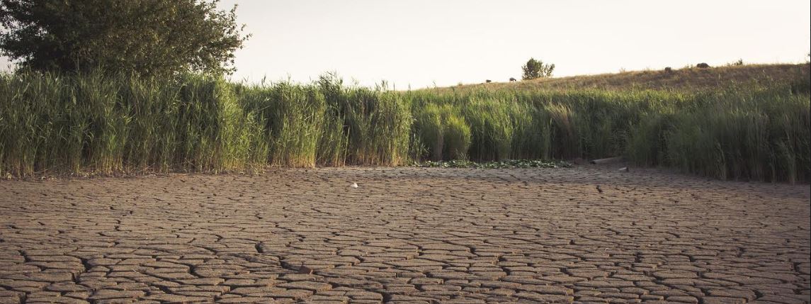 La mitad de la población mundial sufrirá escasez de agua en 2050 si no se  toman medidas | DiarioAbiertoDiarioAbierto