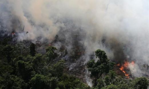 Incendio forestal en Brasil