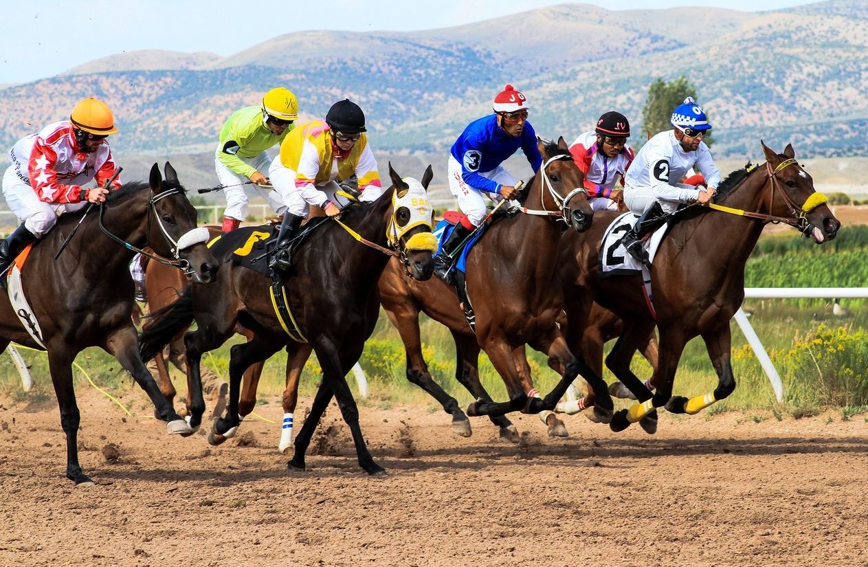 Apuestas de Carreras Reguladas