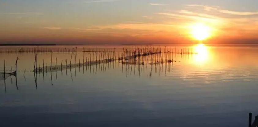 Albufera de Valencia