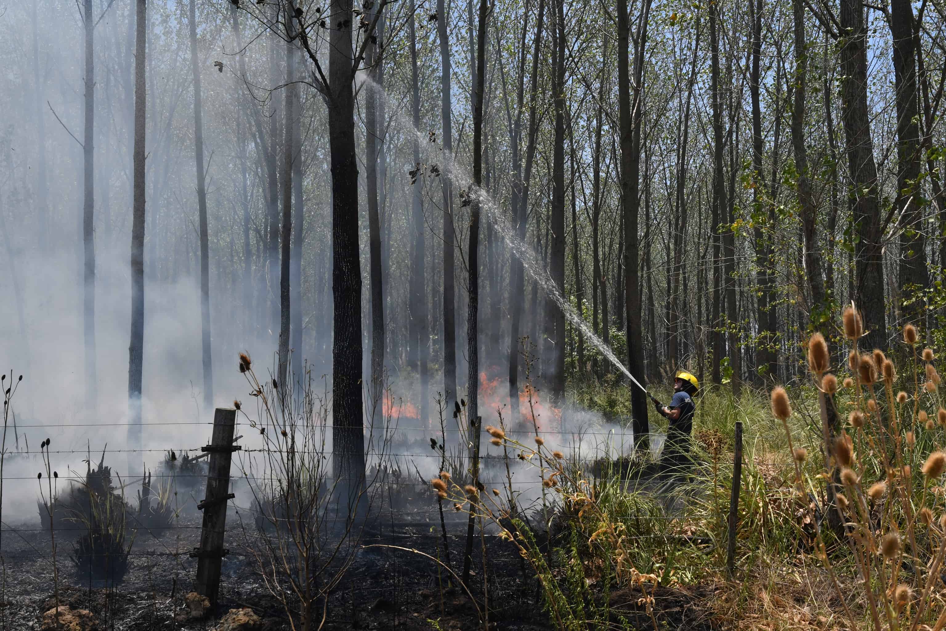 Incendio en Argentina