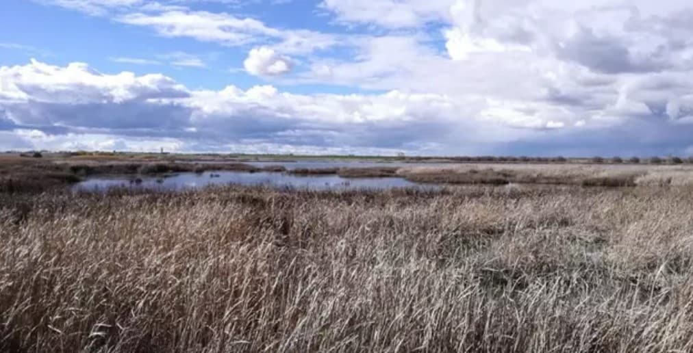 Laguna de la Nava, en la provincia de Palencia