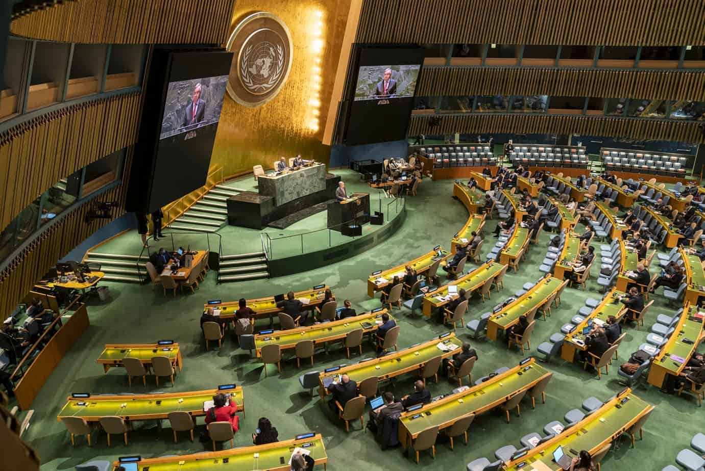 Asamblea General de Naciones Unidas